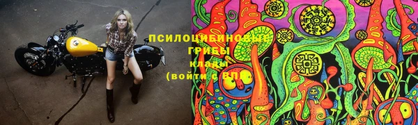 марки lsd Алзамай
