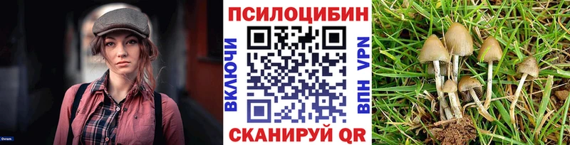 Галлюциногенные грибы Magic Shrooms  закладка  Топки 